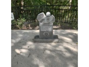 Unborn Marker